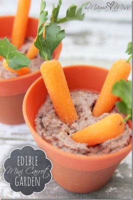 http://www.mamamiss.com/2013/04/10/fun-eats-edible-mini-carrot-garden/