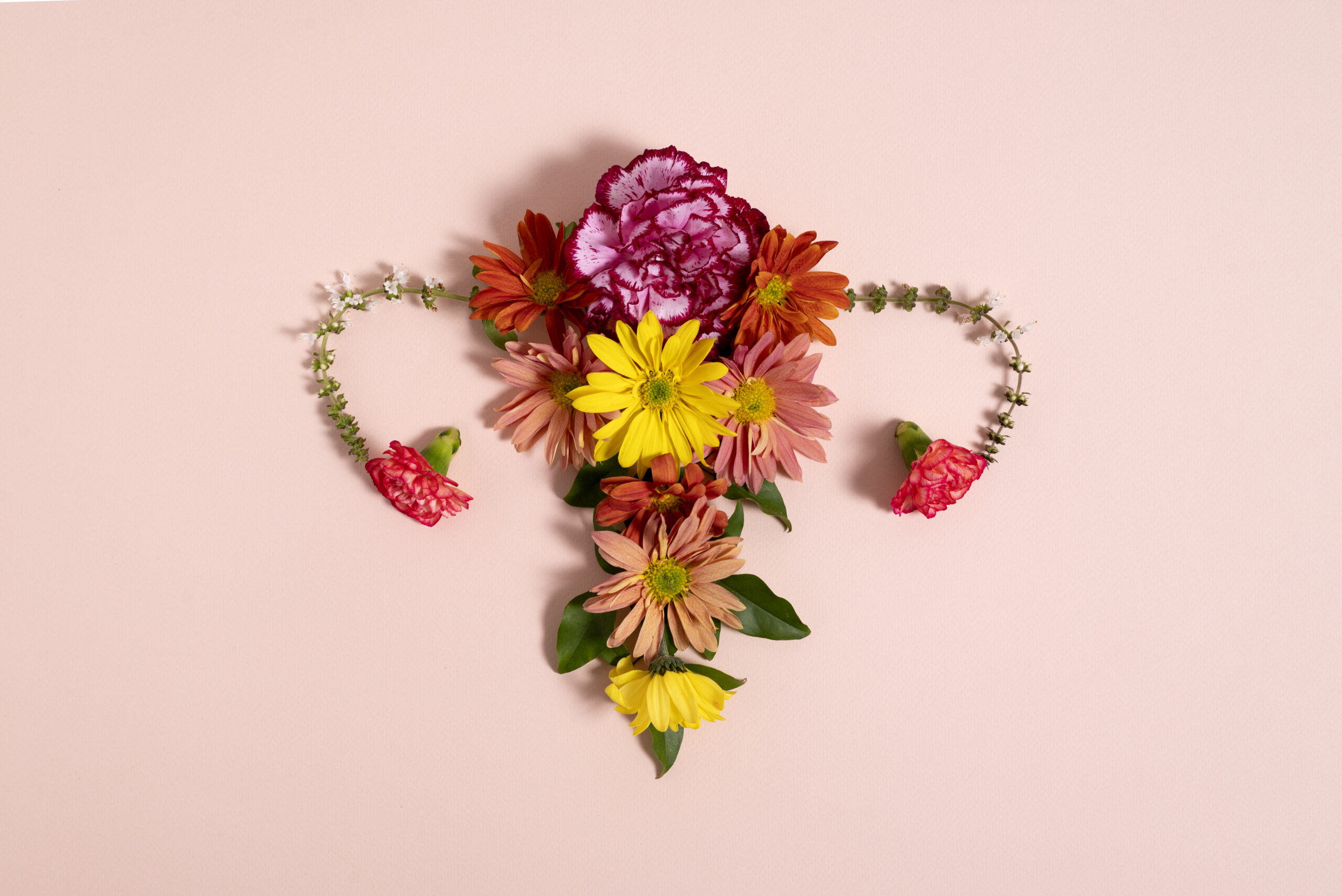 Ovarian Cancer: The Silent Killer